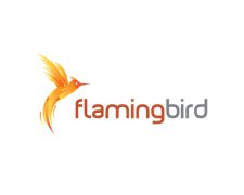 humming_bird_logo.jpg