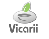 Vicarii_LoM_3.png