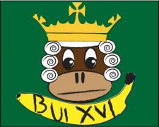 BuiXVI